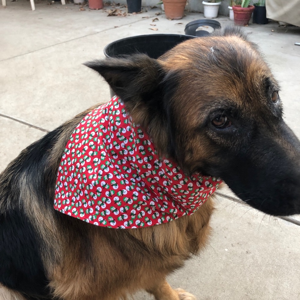 Christmas Reversible Dog Bandanna Size L-XL